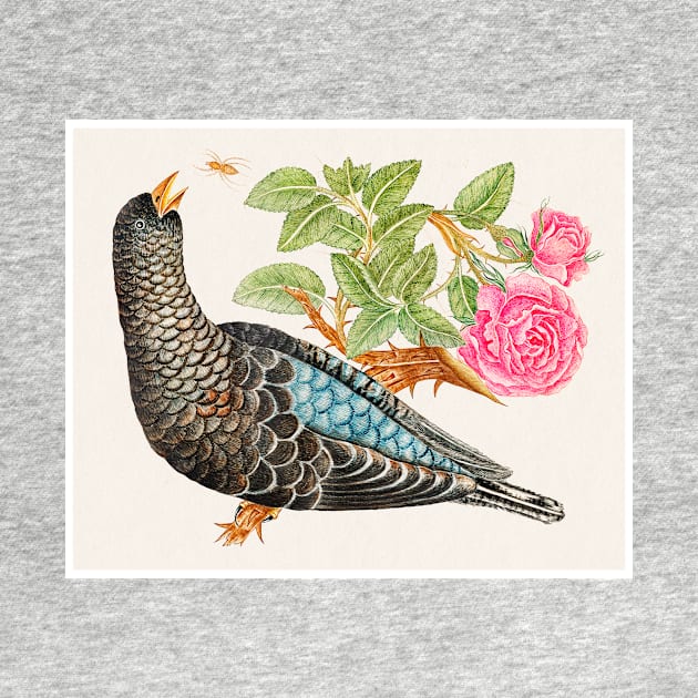 Blue-Black Bird on Rose Branch with Spider (18th Century) by WAITE-SMITH VINTAGE ART